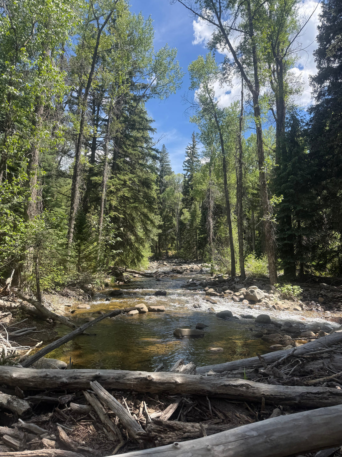 Why Every Fly Fisher Needs a Waterproof Changing Mat