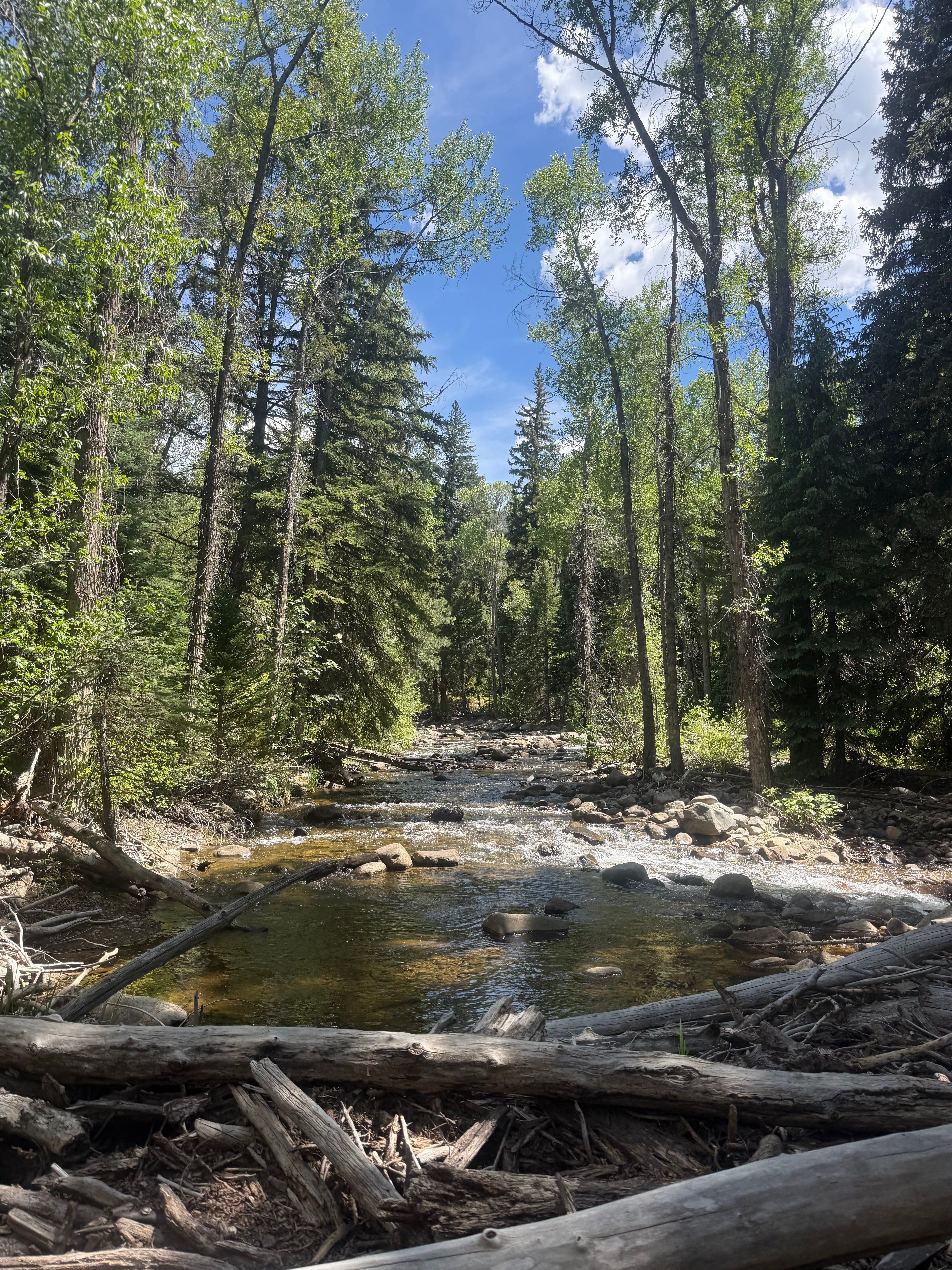 Why Every Fly Fisher Needs a Waterproof Changing Mat